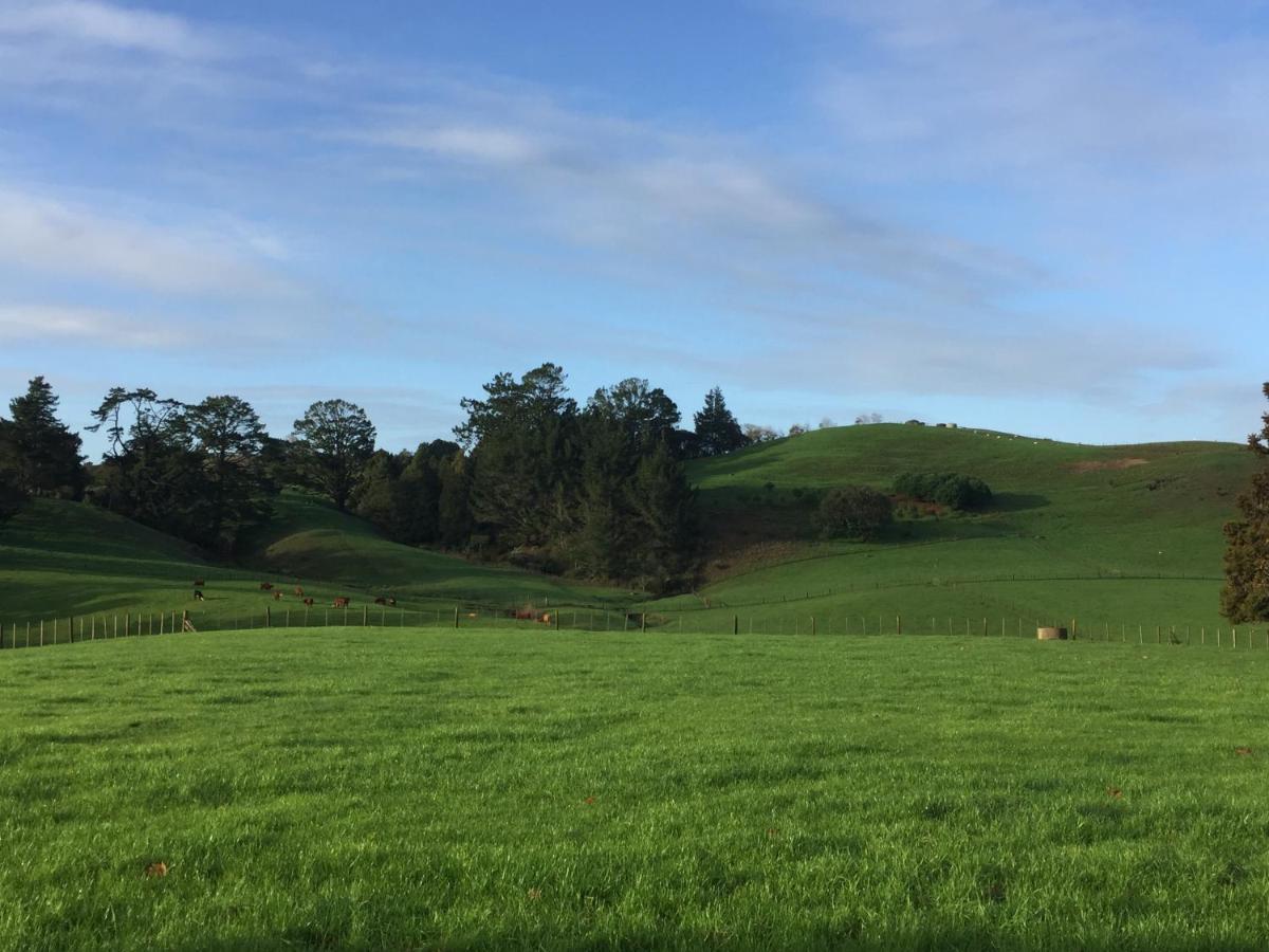 Veld View Bed And Breakfast Tuakau Экстерьер фото