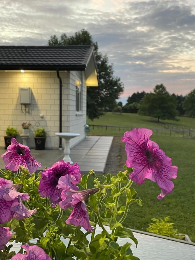 Veld View Bed And Breakfast Tuakau Экстерьер фото